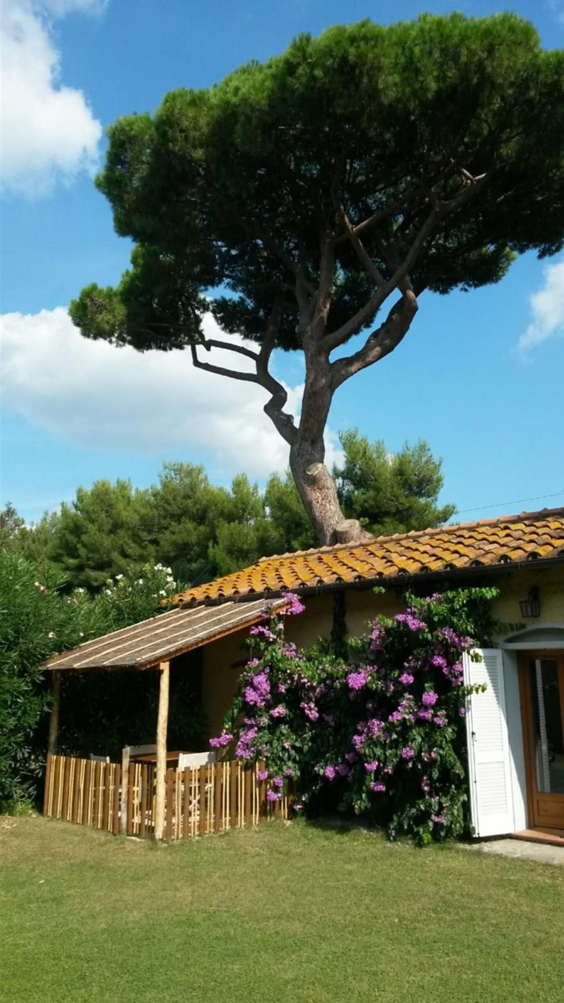 I Cavalleggeri Castagneto Carducci Exterior foto